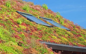 Thrashbush living roof systems