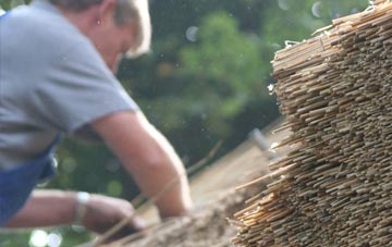 professional Thrashbush thatchers