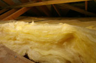 Thrashbush pitch roof insulation