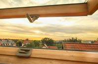 rated Thrashbush roof window companies
